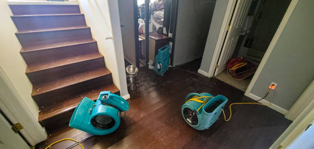 Reliable Springerville, AZ Water damage restoration Solutions