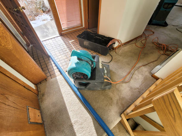 Springerville, AZ Water damage restoration Company