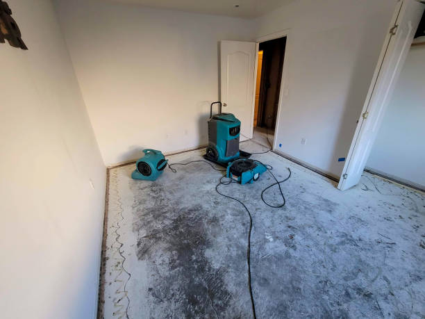 Best Fire Damage Restoration  in Springerville, AZ