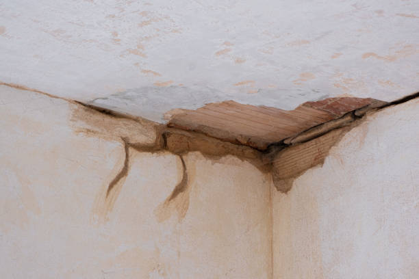 Best Water damage restoration near me  in Springerville, AZ