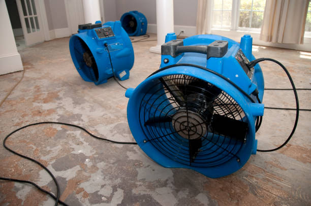 Best Water damage restoration services  in Springerville, AZ