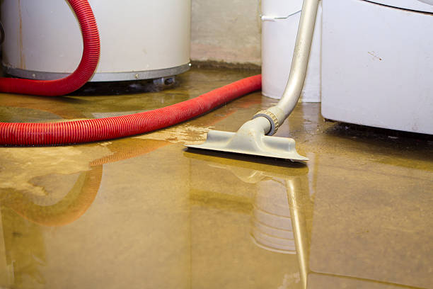 Best Carpet water damage restoration  in Springerville, AZ