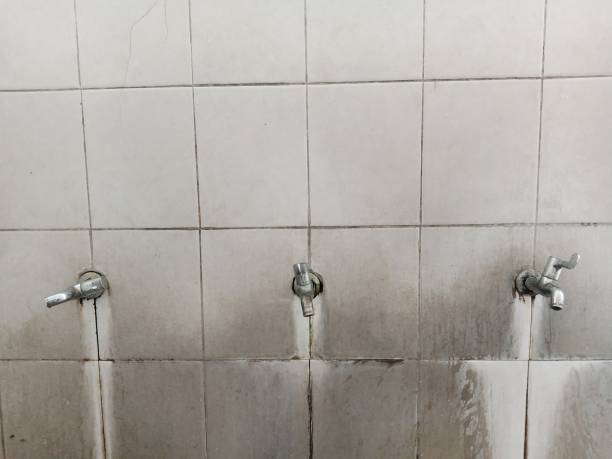 Best Flood damage cleanup  in Springerville, AZ