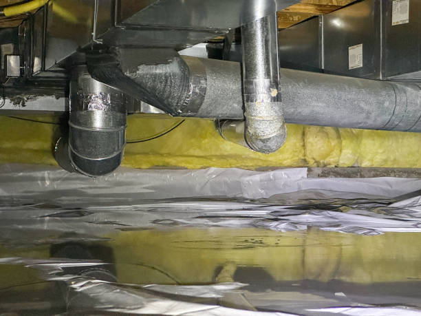 Best Water damage restoration near me  in Springerville, AZ