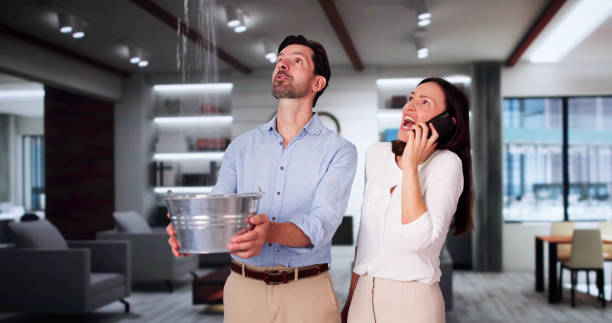Best Ceiling water damage repair  in Springerville, AZ