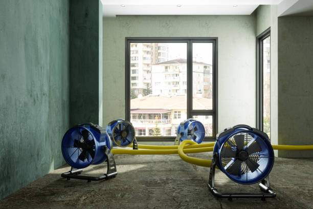 Best Water damage restoration near me  in Springerville, AZ