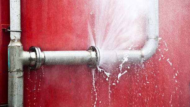 Best Mold removal after water damage  in Springerville, AZ